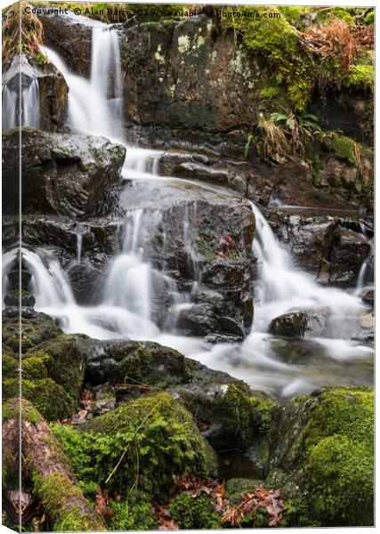 Tumbling Gill in the Lake District National Park Canvas Print by Alan Barr
