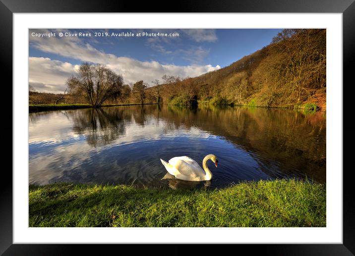 Swan Lake Framed Mounted Print by Clive Rees
