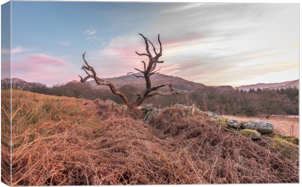 Morning glow Canvas Print by Jonathon barnett