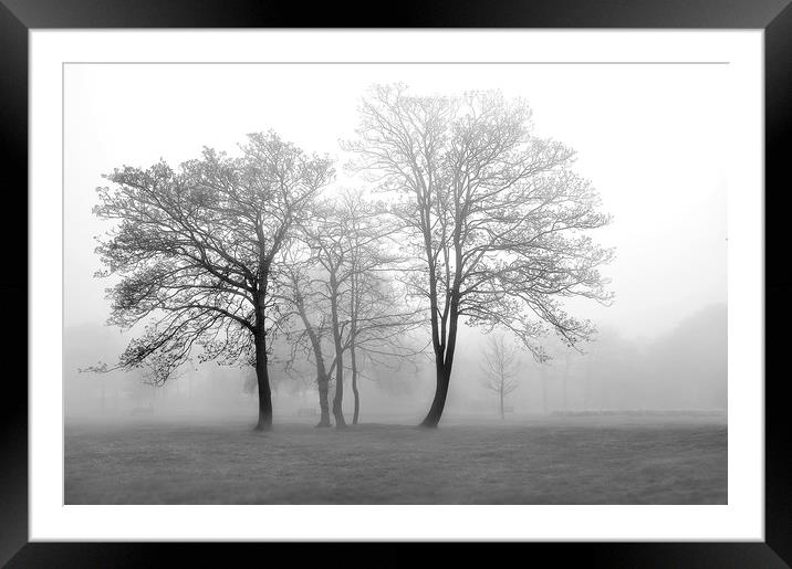 Foggy Trees Framed Mounted Print by Svetlana Sewell