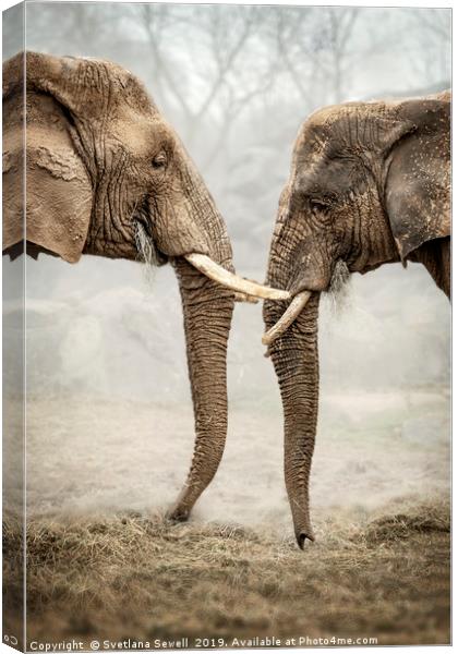 Elephants Love Canvas Print by Svetlana Sewell