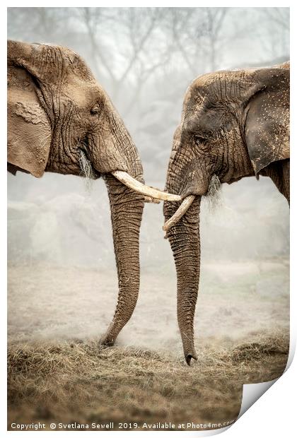 Elephants Love Print by Svetlana Sewell