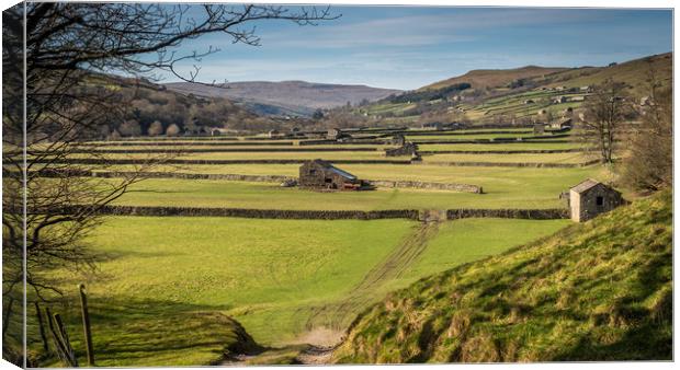 Old Barns in Swaledale Canvas Print by George Robertson