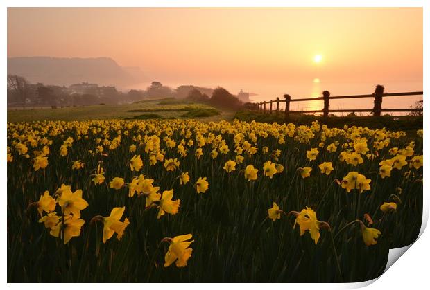 Sidmouth Sunrise Print by David Neighbour