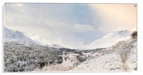 Glen Affric Winter Wonderland Acrylic by Veli Bariskan