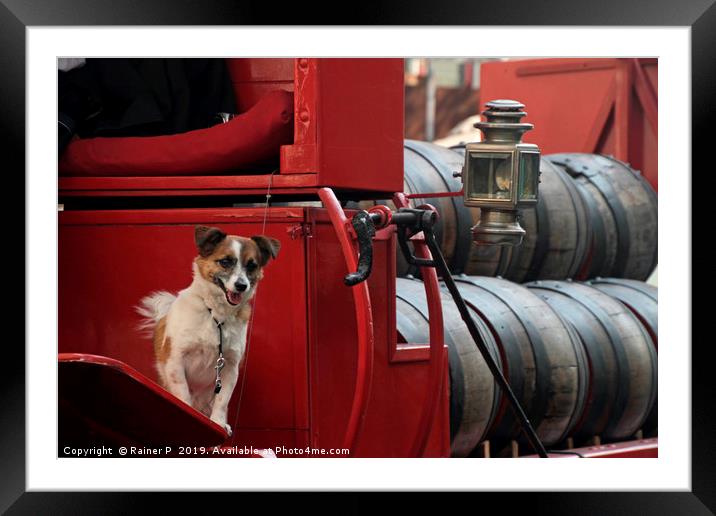 Happy dog in traditional beer truck Framed Mounted Print by Lensw0rld 