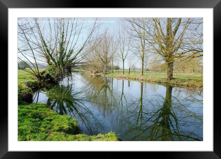 The River Stour in Winter Framed Mounted Print by Diana Mower