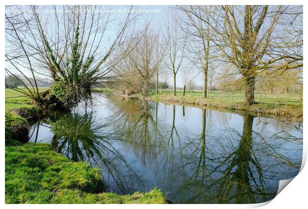 The River Stour in Winter Print by Diana Mower