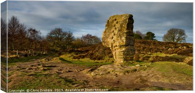 The Cork Stone on Stanton Moor. Canvas Print by Chris Drabble