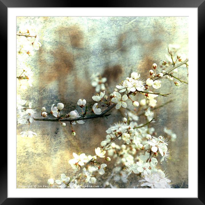 White Hawthorn Abstract Art Framed Mounted Print by Jim Key