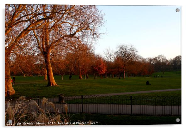 Greenwich Park at Sunset, London, England   Acrylic by Aidan Moran