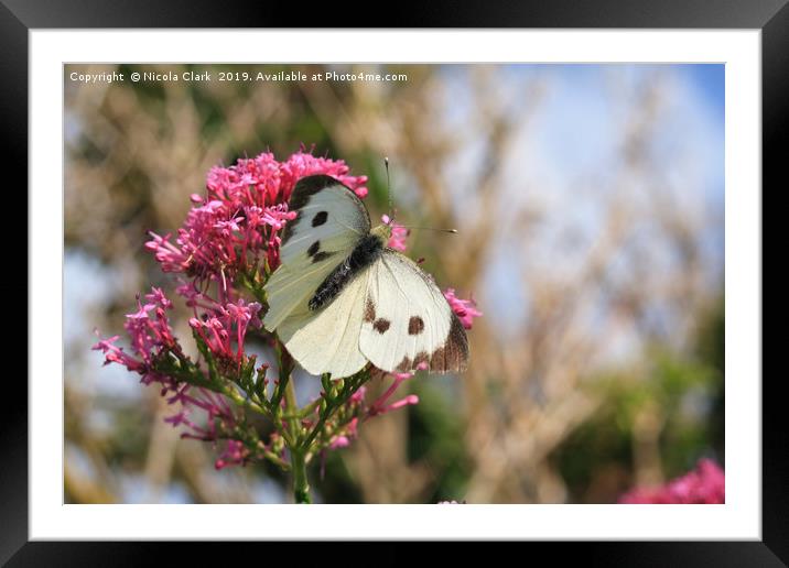 Large White Framed Mounted Print by Nicola Clark