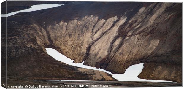 Highlands of Iceland 5/5 Canvas Print by Dalius Baranauskas