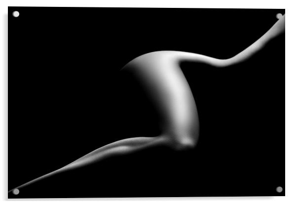 Nude woman bodyscape 9 Acrylic by Johan Swanepoel