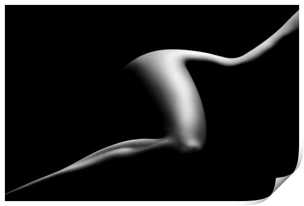Nude woman bodyscape 9 Print by Johan Swanepoel