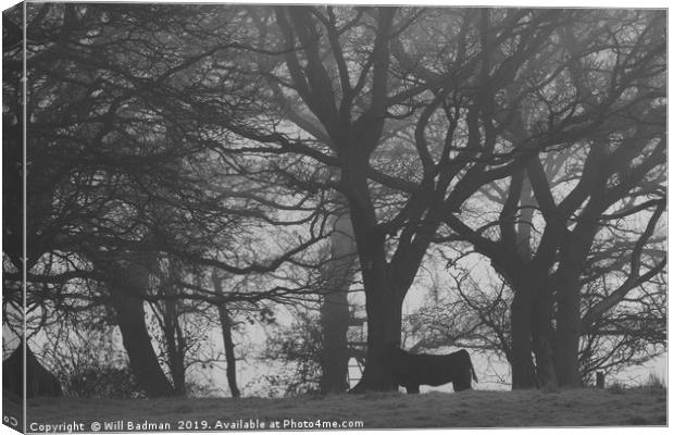 Cow and Trees in Black and White  Canvas Print by Will Badman