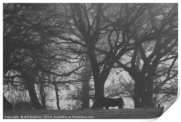 Cow and Trees in Black and White  Print by Will Badman