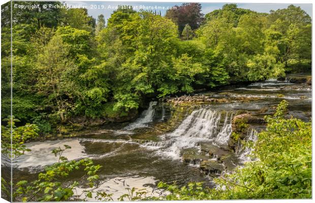  Aysgarth Middle Falls, Yorkshire Dales Canvas Print by Richard Laidler