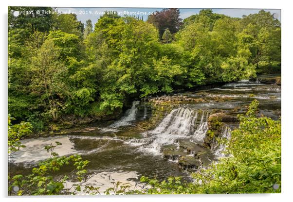  Aysgarth Middle Falls, Yorkshire Dales Acrylic by Richard Laidler