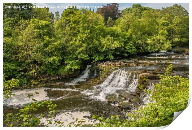  Aysgarth Middle Falls, Yorkshire Dales Print by Richard Laidler