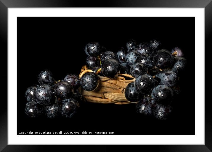 Grapes Framed Mounted Print by Svetlana Sewell
