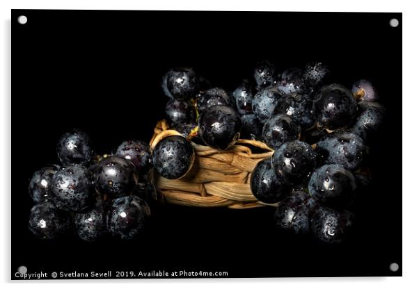Grapes Acrylic by Svetlana Sewell