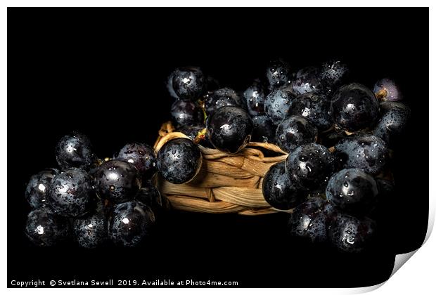 Grapes Print by Svetlana Sewell
