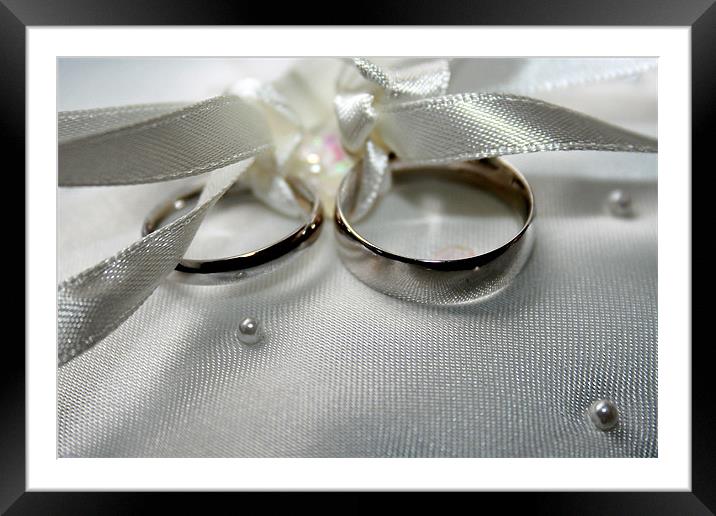 Wedding rings Framed Mounted Print by Steven Shea