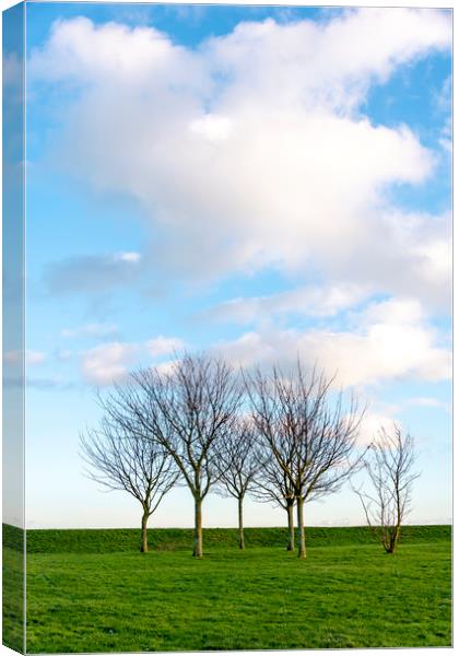 Group of Trees Canvas Print by Svetlana Sewell