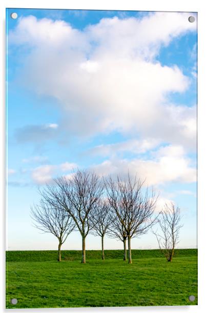 Group of Trees Acrylic by Svetlana Sewell
