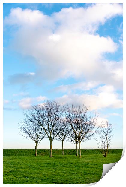 Group of Trees Print by Svetlana Sewell