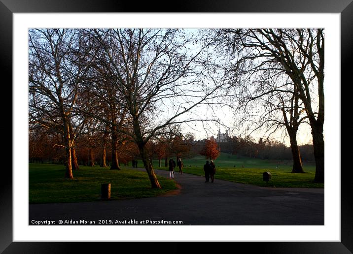 Greenwich Park, London, England  Framed Mounted Print by Aidan Moran