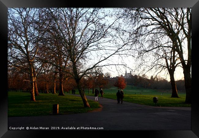 Greenwich Park, London, England  Framed Print by Aidan Moran