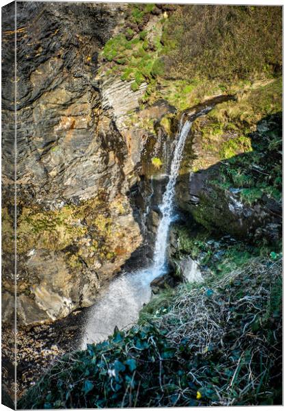 Pentargon Waterfall Cornwall Canvas Print by David Wilkins