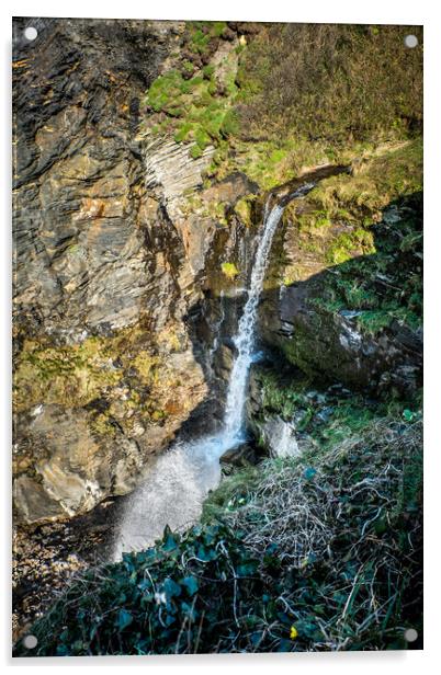 Pentargon Waterfall Cornwall Acrylic by David Wilkins