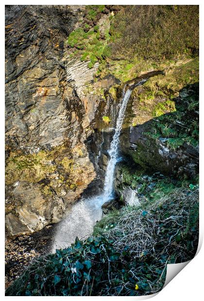 Pentargon Waterfall Cornwall Print by David Wilkins