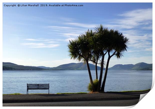 Palm trees on Rothesay Promenade. Isle of Bute. Print by Lilian Marshall