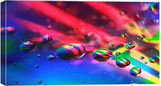Oil on Water 2 Canvas Print by Steven Shea