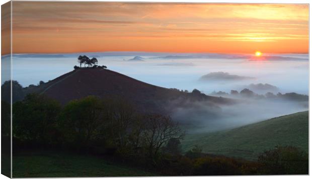 Colmer's Hill Mist Canvas Print by David Neighbour