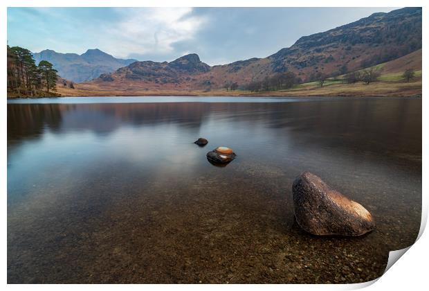 Blea Tarn and the Langdales Print by Tony Keogh