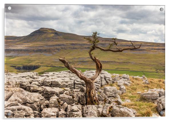 Twistleton Scar and Ingleborough Acrylic by Tony Keogh