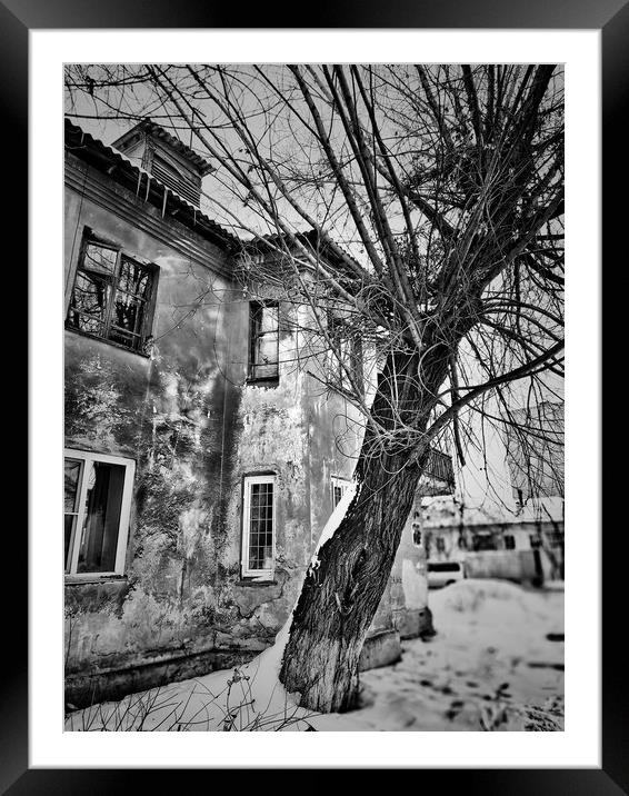 Old tree and house Framed Mounted Print by Larisa Siverina