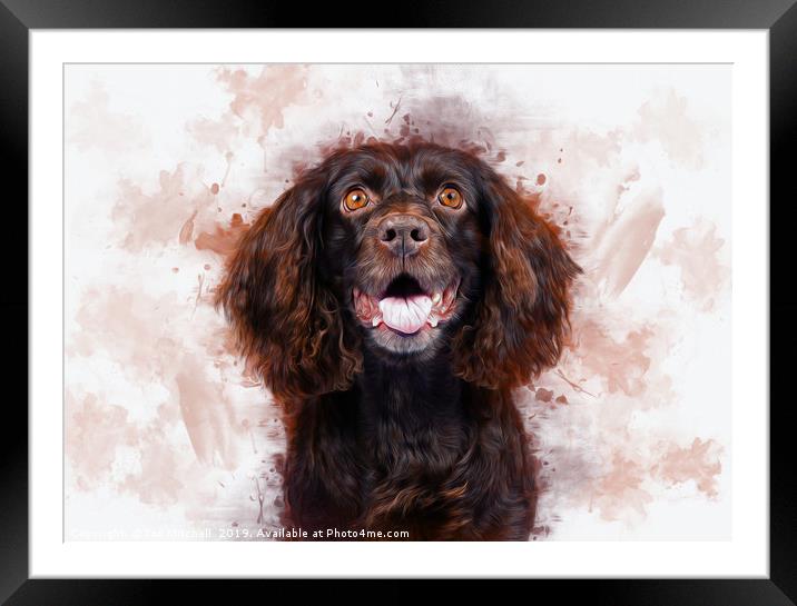 Spaniel Art Framed Mounted Print by Ian Mitchell