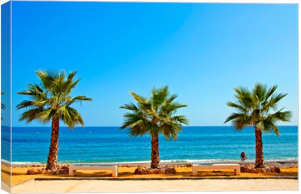 Palm trees Playa del Penoncillo Torrox Costa Spain Canvas Print by Andy Evans Photos