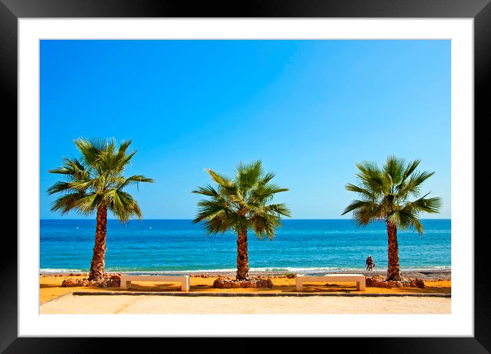 Palm trees Playa del Penoncillo Torrox Costa Spain Framed Mounted Print by Andy Evans Photos