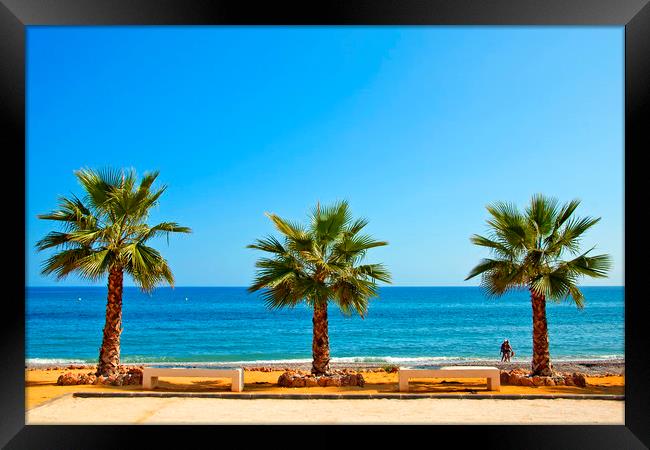 Palm trees Playa del Penoncillo Torrox Costa Spain Framed Print by Andy Evans Photos