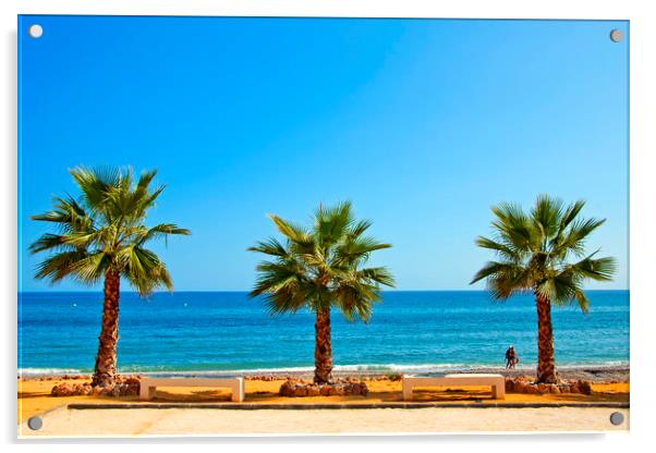 Palm trees Playa del Penoncillo Torrox Costa Spain Acrylic by Andy Evans Photos