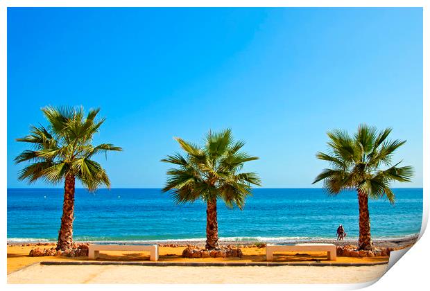 Palm trees Playa del Penoncillo Torrox Costa Spain Print by Andy Evans Photos