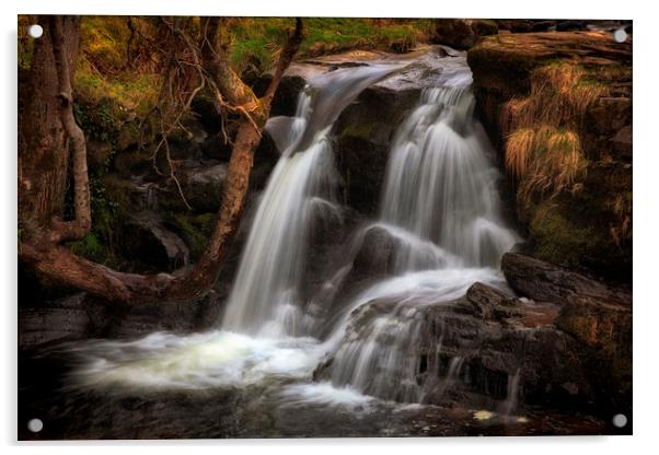 Cascading water at Blaen y Glyn  Acrylic by Leighton Collins