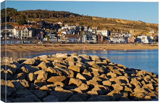 Lyme Regis from North Wall                       Canvas Print by Darren Galpin